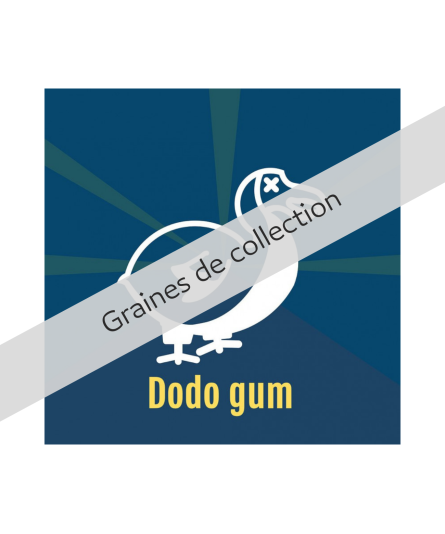 DODO GUM X10 DALON SEEDS
