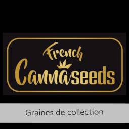 HEAVY CHEMDOG X10 FRENCH CANNASEEDS