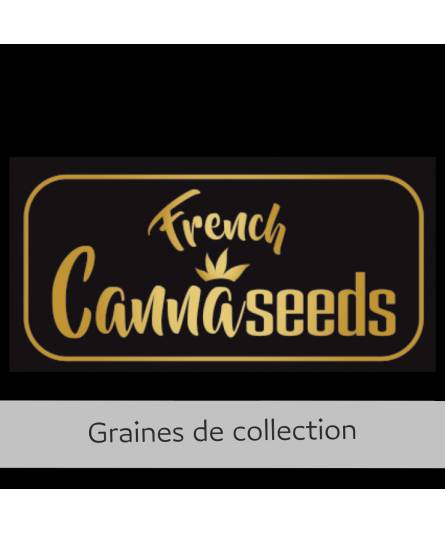 HEAVY CHEMDOG X25 FRENCH CANNASEEDS