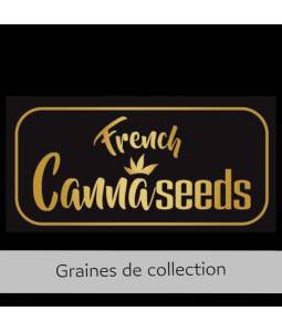 HEAVY CHEMDOG X3 FRENCH CANNASEEDS