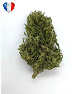 La Bourbonnaise 2.0 3g