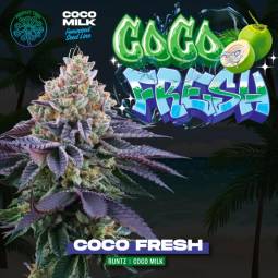 Coco Fresh X6 + 3 Free Coco...