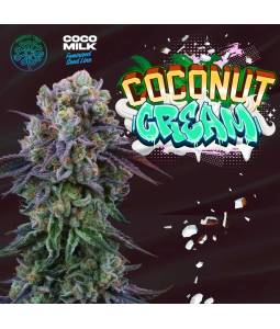 Coconut Cream X6 + 3 Free...