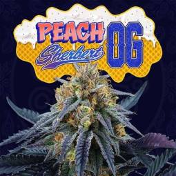 Peach Sherbert OG X6 + 3...