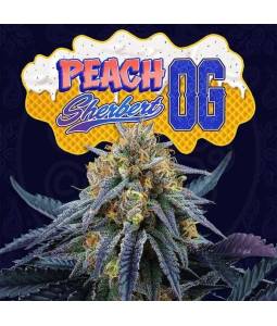 Peach Sherbert OG X6 + 3...
