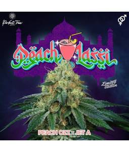 Peach Lassi X6 + 3 Free...