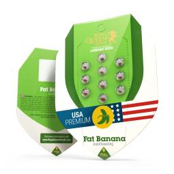 Fat Banana Auto Usa X3...