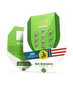 Fat Banana Auto Usa X3...