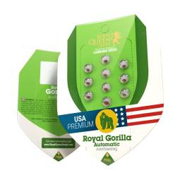 Royal Gorilla Auto Usa X3...