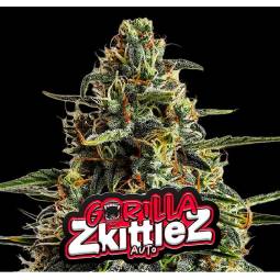 Gorilla Zkittlez Auto X3...