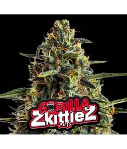 Gorilla Zkittlez Auto X3...