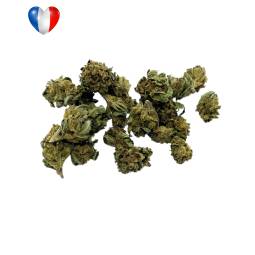 Harlequin Small Buds 20g