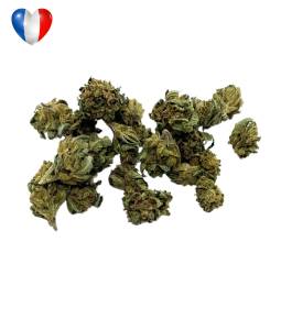 Harlequin Small Buds 40g