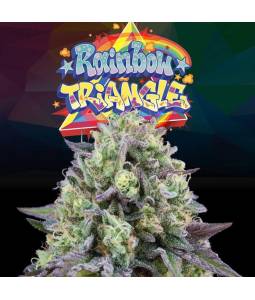 RAINBOW TRIANGLE x6 Perfect...