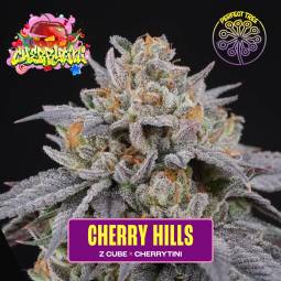 CHERRY HILLS X6 Perfect...