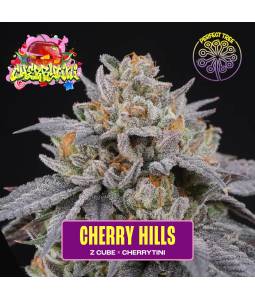 CHERRY HILLS X6 Perfect...