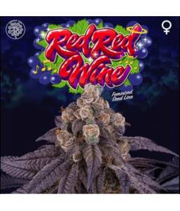 RED RED WINE X6 Perfect...
