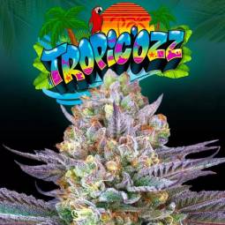 TROPIC'OZ X6 Perfect Tree...