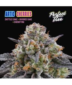 Artic Cherries  X6 Perfect...