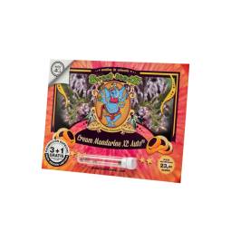 Cream Mandarine Auto ® X3...