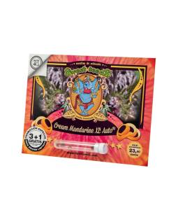 Cream Mandarine Auto ® X3...