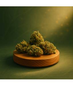 Fleur CBD Runtz Small Buds – petites têtes compactes françaises aux arômes d’ananas