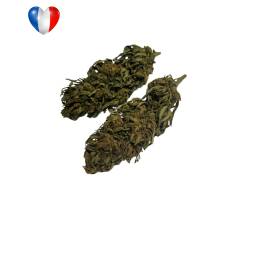 Forest Kush (Big Bud) 20g