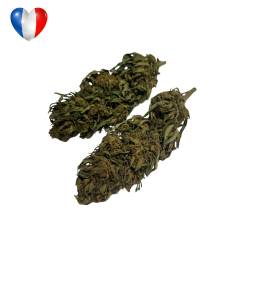 Forest Kush (Big Bud) 20g