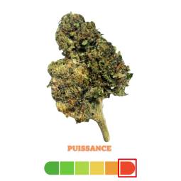 Bubblelicious THCX 3g