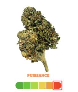 Bubblelicious THCX 3g