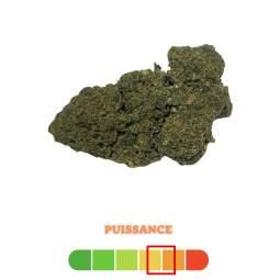 Tropicale Kush D10 50% 10g