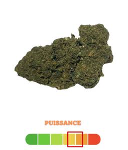 Tropicale Kush D10 50% 3g