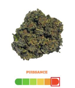 Blue Cheese THCX 2.0 3g