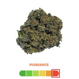 Blue Cheese THCX 2.0 5g