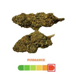 Skunk + REDLINE 5g – Fleur...