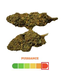 Skunk + REDLINE 5g – Fleur...
