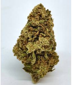 Gelato + 3g