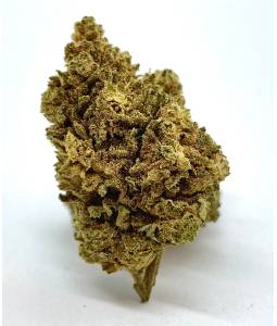 Somango 3g