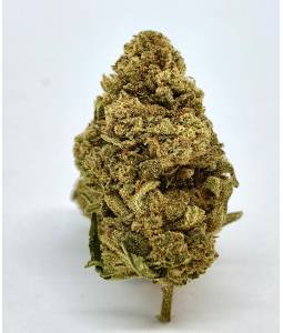Gorilla + 3g