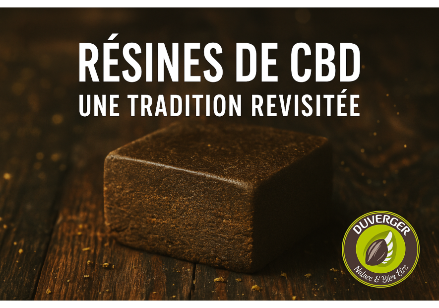 Résines de CBD : une tradition revisitée